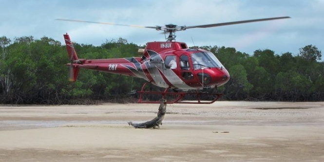 Crocodile bites helicopter